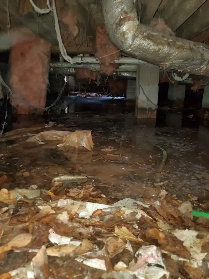 Crawl space flood assessment for Leak Detection & Repair in Gatesville